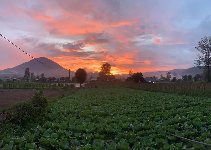 カントリーハウス Alaya At Volcano