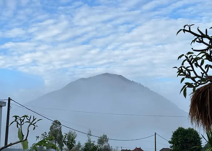 Alaya At Volcano